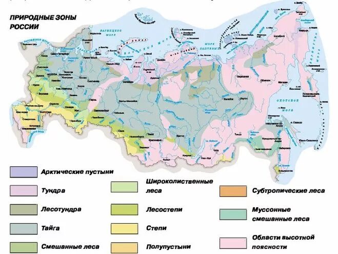 Широколиственные леса относительно морей и океанов. Природная зона Арктическая тундра на карте. Карта природных зон России широколиственные леса. Тундра Тайга смешанные и широколиственные леса на карте. Природная зона лесов на карте России.