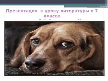 Кусака презентация 5 класс