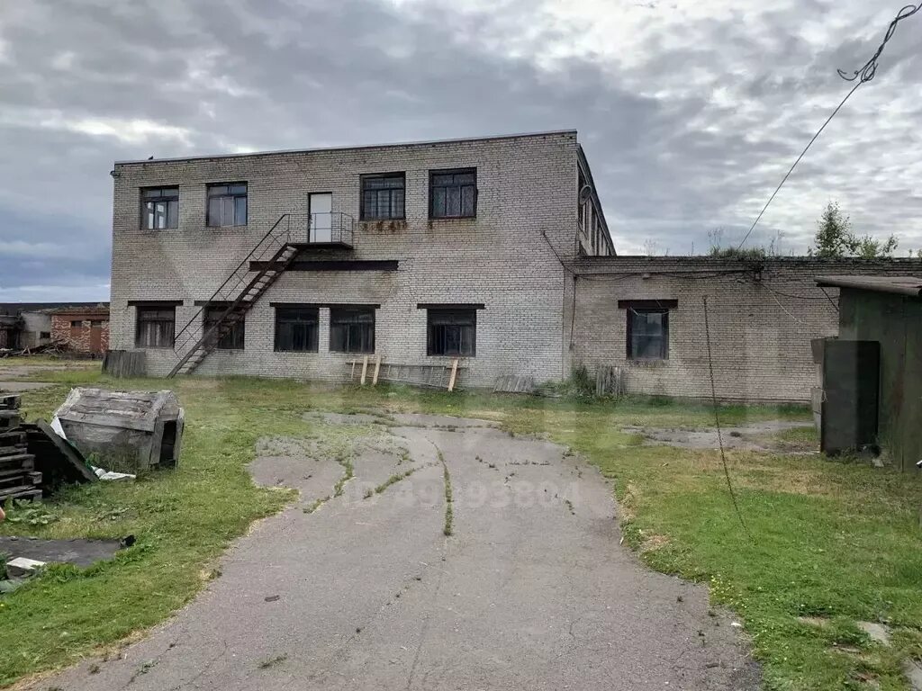 Померанье любань. Померанье ленинградская область. померанье. померанье ленинградская область история. померанье ленинградская область почему так называется.