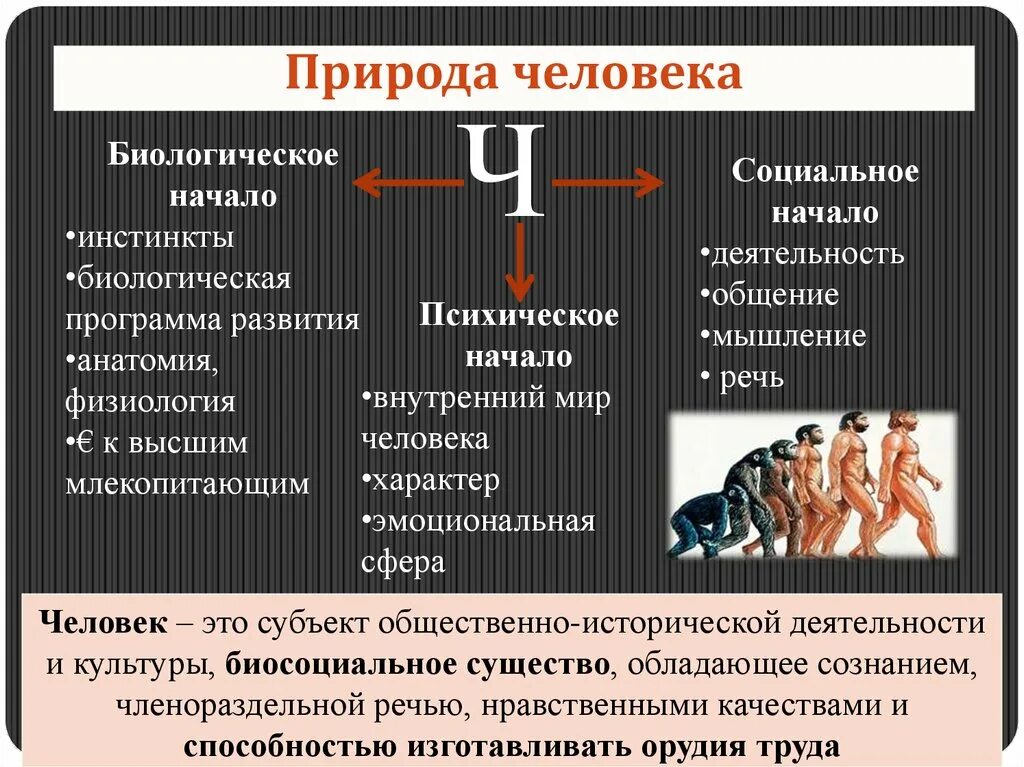 Какой инстинкт является основным инстинктом человека. Биологические инстинкты человека. Социальная природа человека. Биологическая природа человека. Биология социальная природа человека.