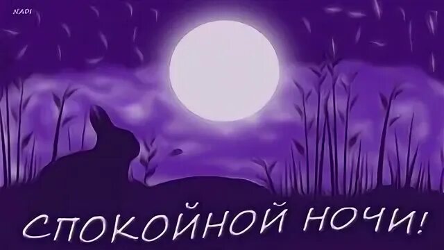 Тик доброй ночи