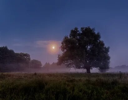 Ночной пейзаж фото