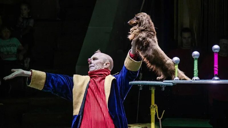 Кто в цирке коверный. Цирковое представление «снежная королева». Кто в цирке коверный. Артисты цирка. Королева цирка.