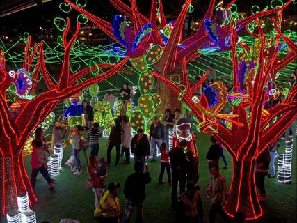 Walking around christmas tree