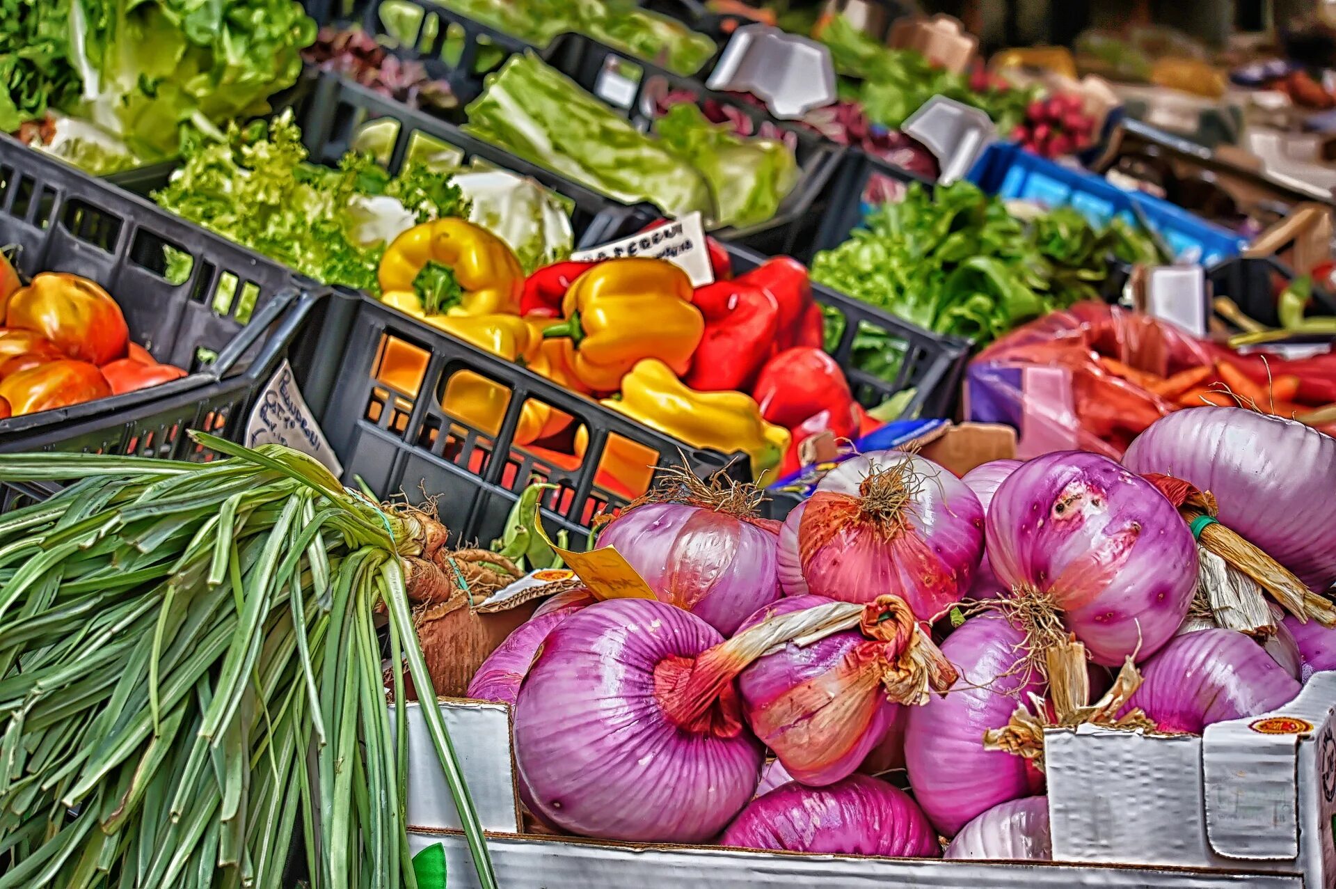 Экспорт овощей и фруктов. Экспорт овощей. Рынок картинки. Торговля картинки. Vegetables market