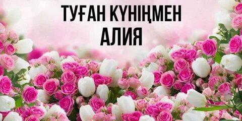 Анфиса Чехова жалған порно