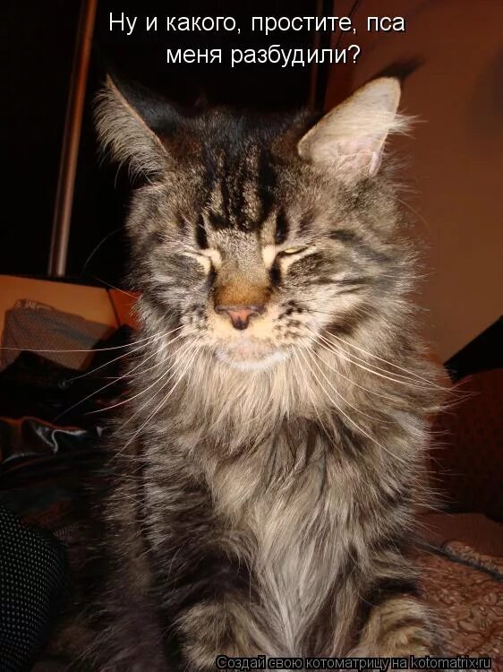 Первым надо будить вдохновение. Меня будить. Меня будить видео. Меня будить видео. Меня будить видео.