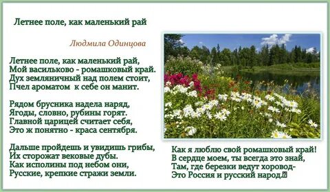 Оттуда где березки в ряд