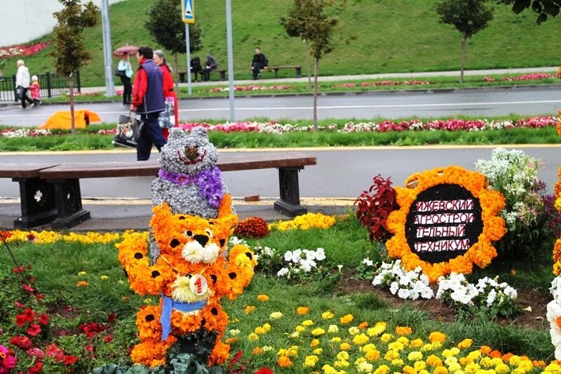 цветочная выставка в москве. выставка цветов ижевск 2024. цветочная ярмарка. белый цветок 2022 екатеринбург. цветочная выставка.