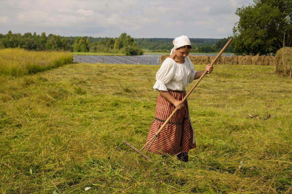 Баба на сенокосе. Сенокос Скирда СССР. Женщина на сенокосе. Крестьянка. Женщина косит.