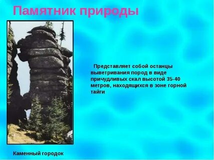 Проблемы памятников природы