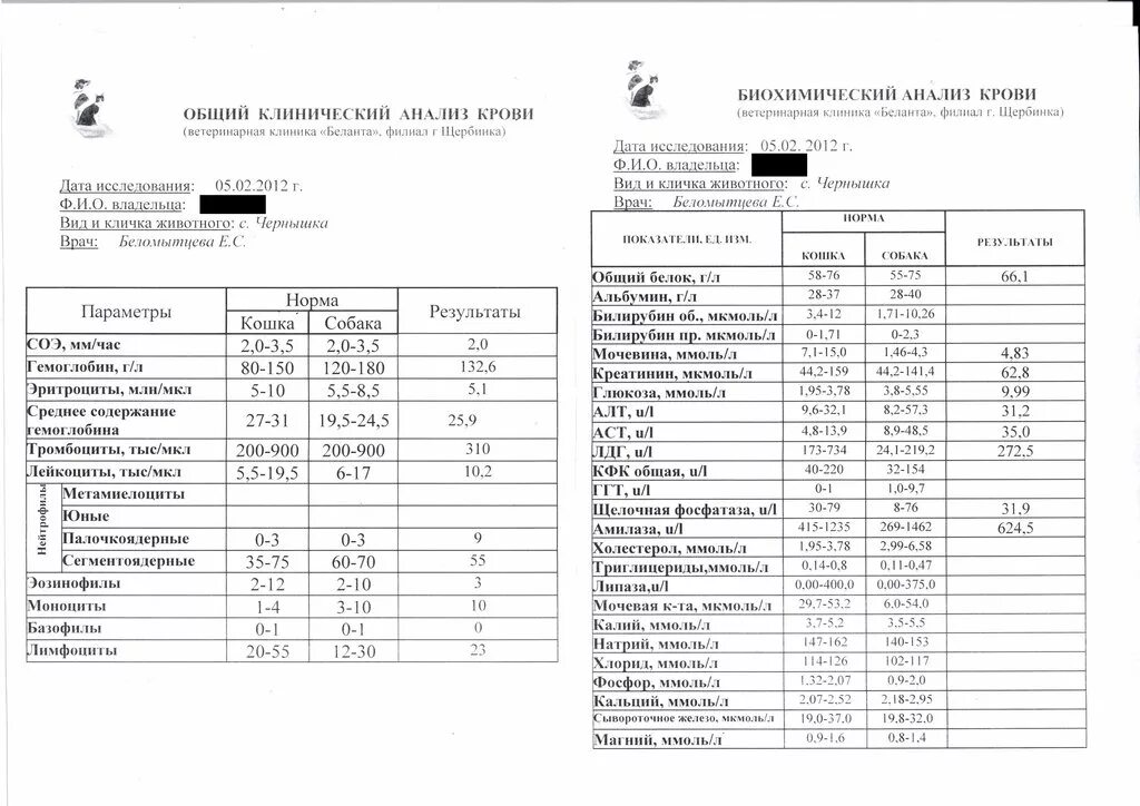 Авиценна анализ крови. Анализ крови биохимический норма креатинфосфокиназа. Биохимия крови КФК. КФК биохимия норма. КФК В биохимическом анализе крови норма.