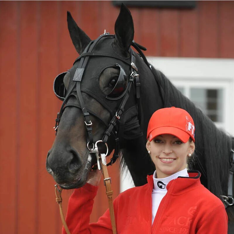 гермида выездка. амуниция для лошади. конный магазин импульс. магазин амуниции для лошадей. вечеринка лошадка спб.