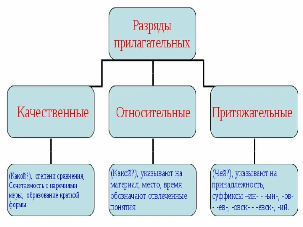 Таблица разрядов качественный относительный притяжательный