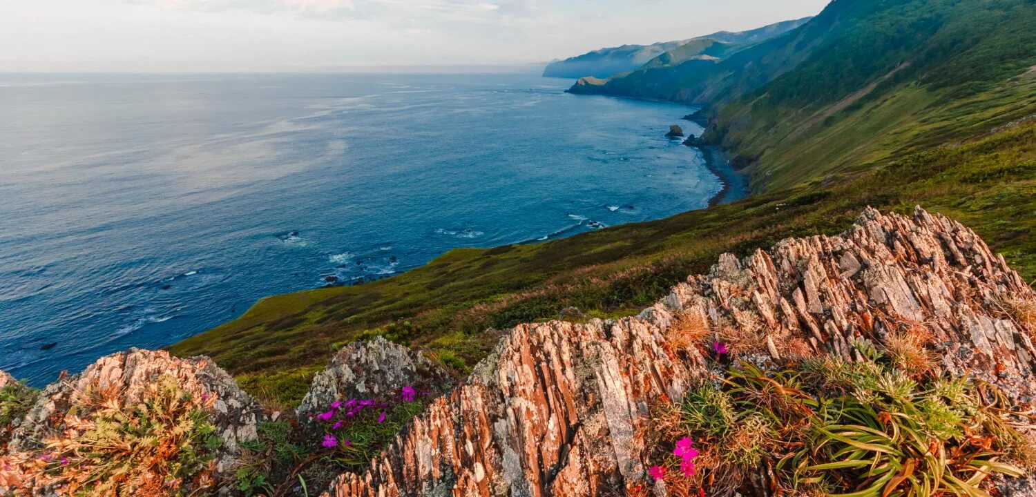 государственный природный заказник «северный». природный заповедник «поронайский». поронайский заповедник. заповедники сахалина. поронайский заповедник сахалинская.