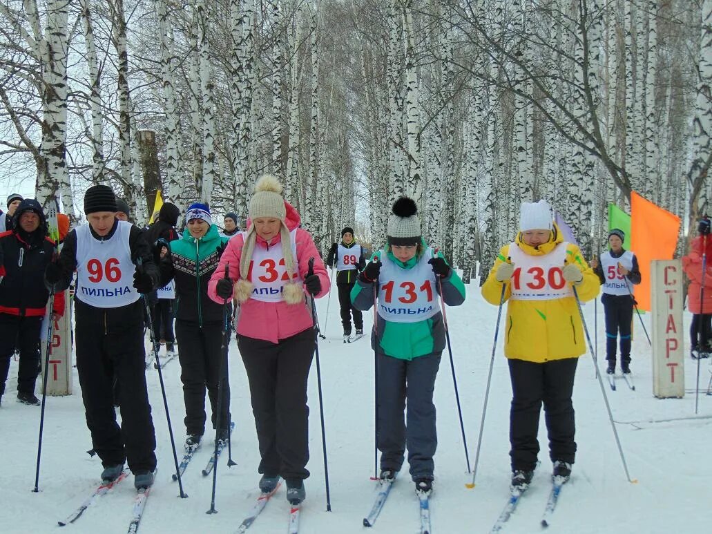 Михаил сорокин пильна. Пильна парк. Пильна природа. П. Пильнинский мемориал славы.