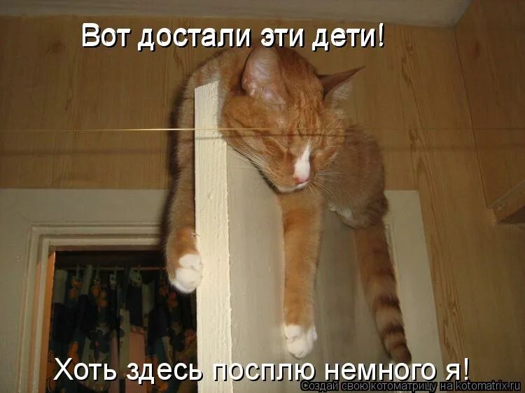 Достали эти дети. Капризный ребенок в магазине. Достали эти дети. Достали эти дети. Смешные дети.