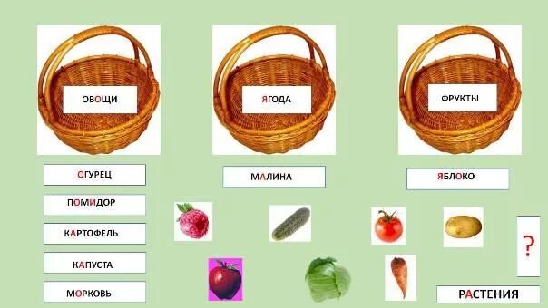 Что не плод малина яблоко картофель капуста. Что не плод малина яблоко картофель капуста. Картофель морковь капуста. Что не плод малина яблоко картофель капуста. Овощ огурец + земляника.
