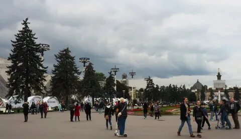 Ели на вднх