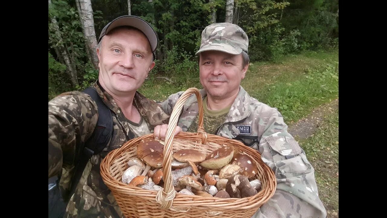 Ярость гризли фильм 2015. Сезон убийц роберт де ниро. Дикарь фильм 2020. Бетти гилпин фильм охота. Охота фильм 2019.