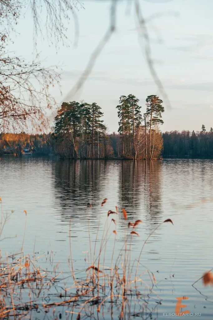 Озеро Таир. Озеро Таир Марий Эл. АИР на озере. Озеро Таир Чебоксары.