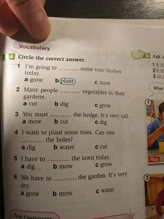 Circle the correct answer the children