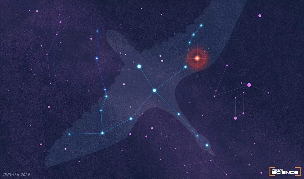 созвездие альтаир геншин. альтаир звезда в созвездии. созвездие плеяды. созвездия на небе. зодиакальное созвездие стрелец.