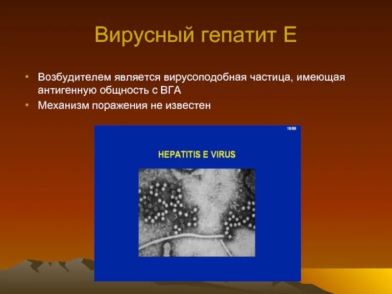 Гепатит е структура. Гепатит е возбудитель. Гепатит е антигенная структура.