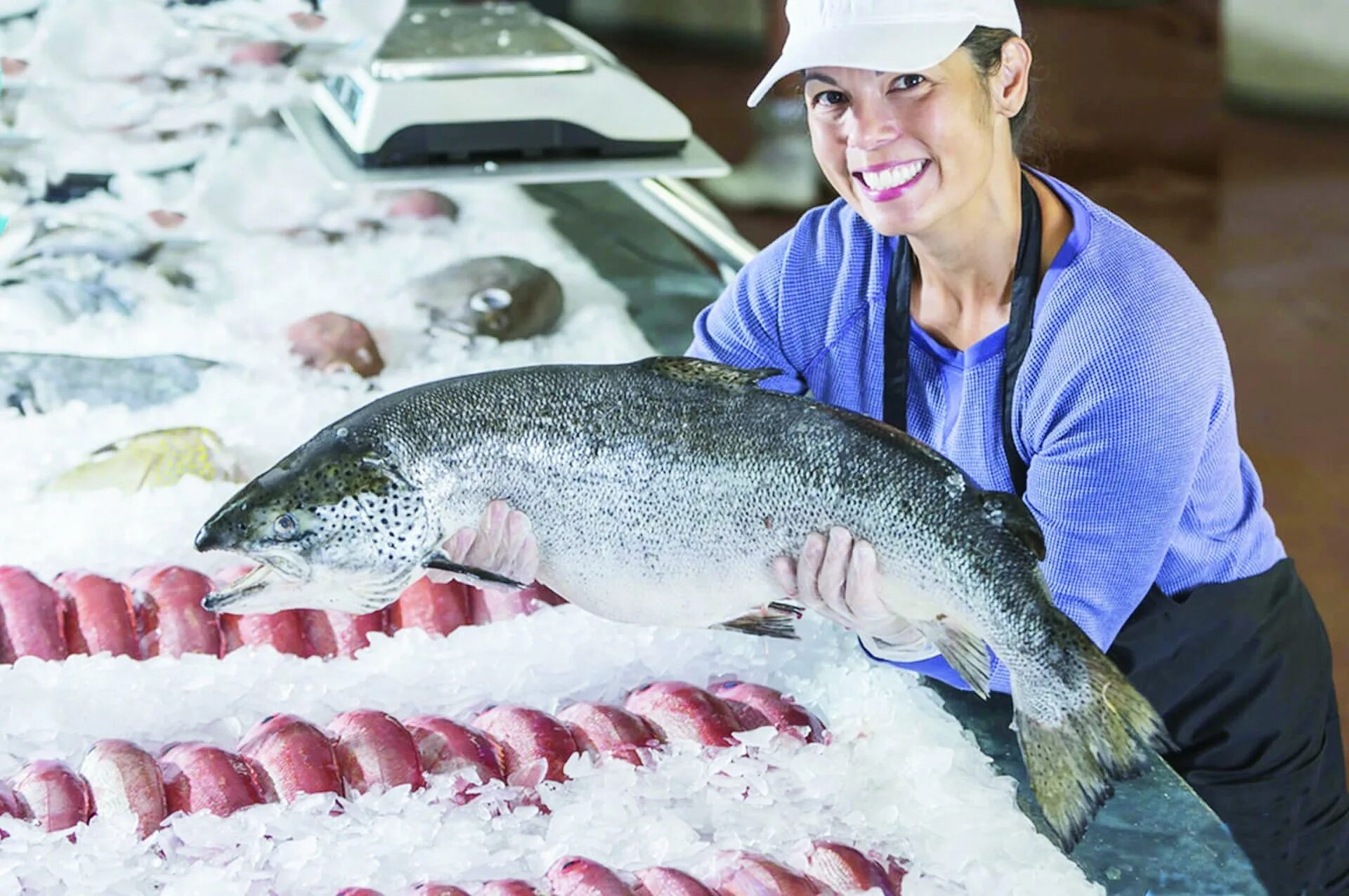 На рыба обработчиках заводах. Вакансии рыбное на сегодня. Остров шикотан рыбный завод. Вакансии рыбное на сегодня. Рыбозавод доброфлот.