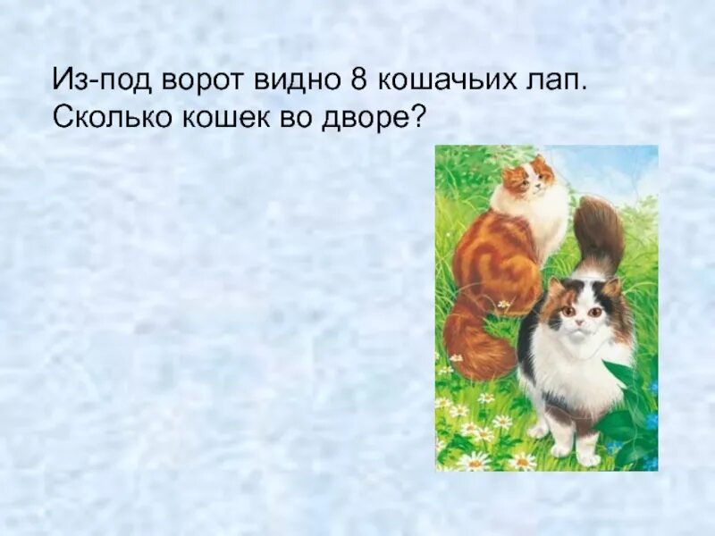 Сколько лап у 10 кошек. Из под ворот видно 8 кошачьих лап. из-под ворот видно 8 кошачьих лап сколько кошек. из под ворот видно 8 кошачьих лап презентация. 2 кошки лапки под воротами.