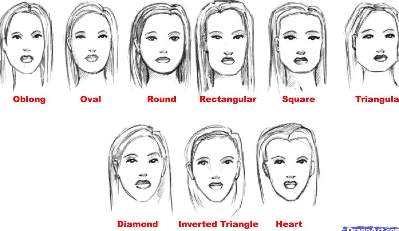 Округлая форма головы. Зарисовки разных форм лица. Разные типы лица рисунок. Формы овала лица в рисовании. Различные формы лица рисование.