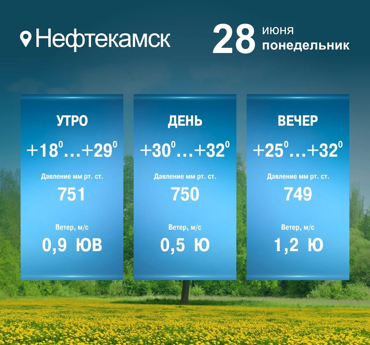 Погода в нефтекамске на 15 дней. Нефтекамск климат. погода в нефтекамске. автобус калтасы нефтекамск. погода нефтекамск амзя на неделю.