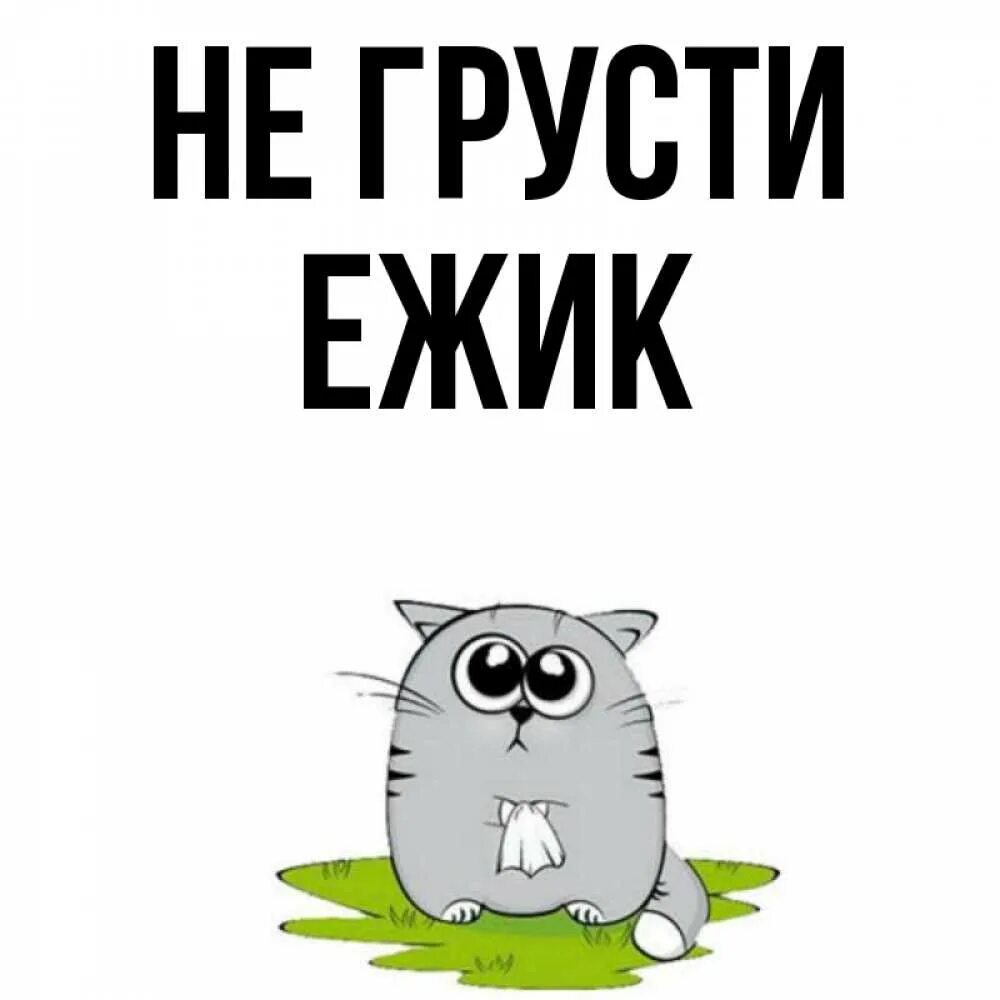 Не грусти там. Ежик не грусти. Ежик грустит. Ёжик не грусти картинки. Открытки не грусти с Ёжиками.