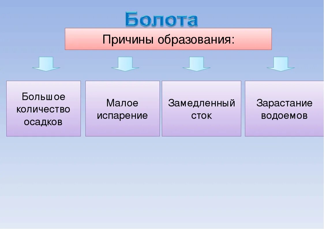 Болотная причины. Факторы образования болот. Причины возникновения болот. Болота причины образования. Причины формирования болот.