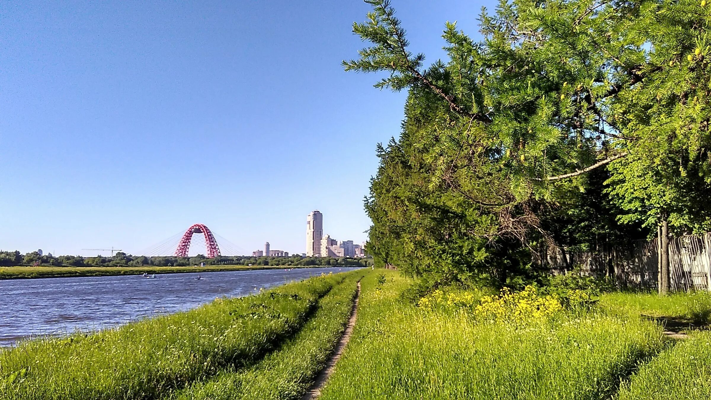 Холм 53. Парк Крылатские холмы Москва. Ландшафтный парк Строгино. Крылатское парк речка. Крылатские холмы 53.