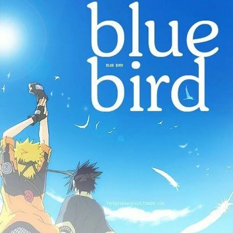 Ost bird. Голубая птица Наруто. Naruto Shippuuden Opening 3 Blue Bird. Blue Bird Ikimono Gakari. Синяя птица из Наруто.