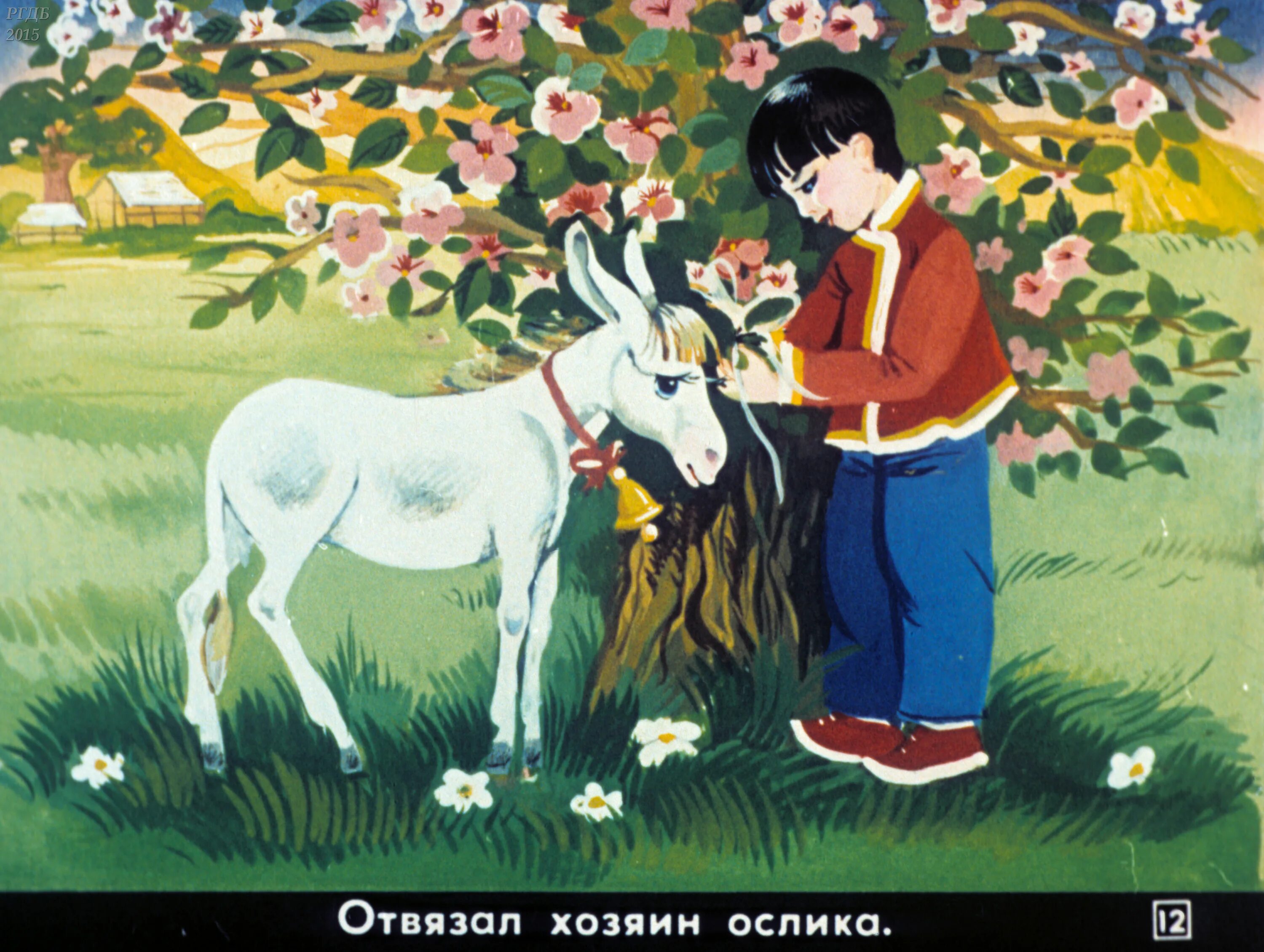 Ослик 4 разбор. Ослик ослик мелик пашаев. ослики на советских открытках. бедный ослик иллюстрации. слайд для детей про ослика.