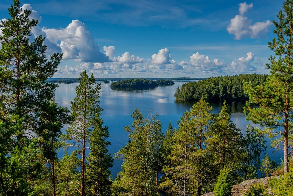 Какую страну называют страной 1000 озер. Озеро Сайма Финляндия. Национальный парк Линнансаари. Озеро Лаппаярви в Финляндии. Финляндия 1000 озер.