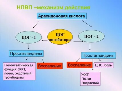 Нпвп цог