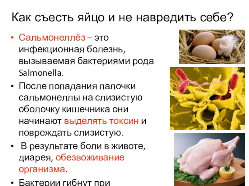 При сальмонеллезе передача инфекции возможна через ответ
