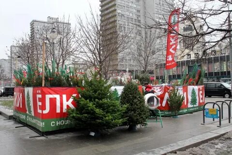 Базар елок в москве
