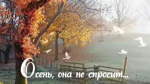 Осень она не с