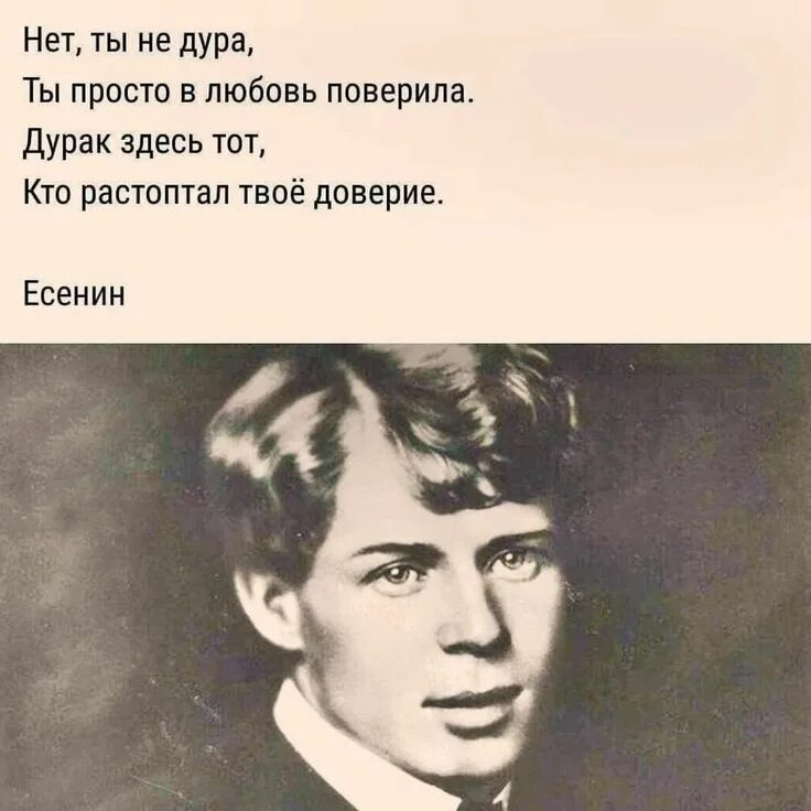 Цитаты Есенина. Стихи Есенина о любви. Высказывания Есенина о любви. Стихи Есенина.