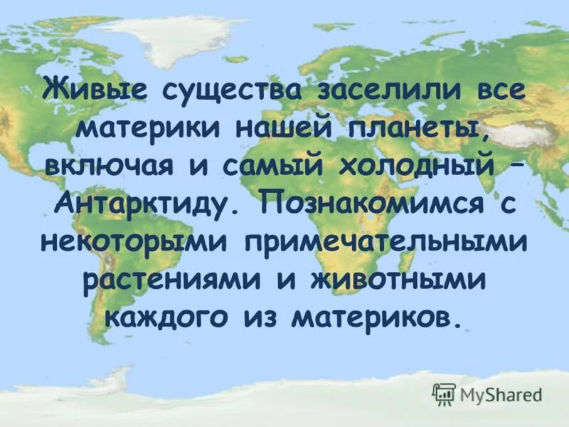 Живые организмы разных материков. Рассказ о живом существе. Проект жизнь на разных материках. Живые организмы на разных материках. Живые существа нашей планеты.