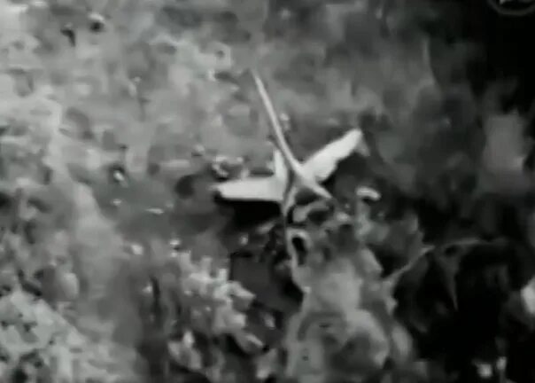 Самолет упавший на детский сад в 1972. Катастрофа АН-24 В Светлогорске. Авиакатастрофа в Светлогорске в 1972. Самолёт упал на детский сад в Светлогорске в 1972 году. Падение самолёта в 1972 году в Светлогорске.