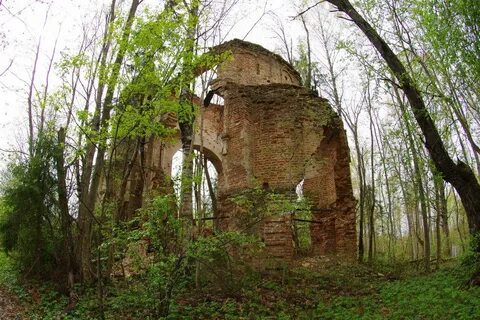 Талицы тверская область