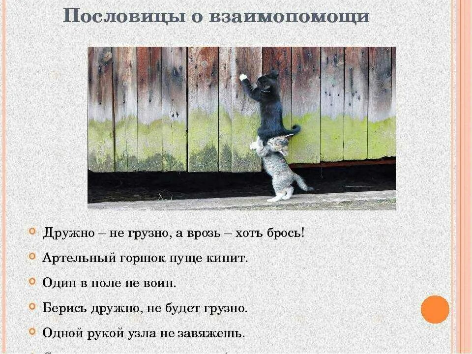 Пословицы о справедливости народов россии. Пословицы о дружбе и взаимопомощи добре и справедливости. Пословицы о взаимопомощи. Пословицы и поговорки о дружбе и взаимопомощи. Пословицы о заимо помаши.