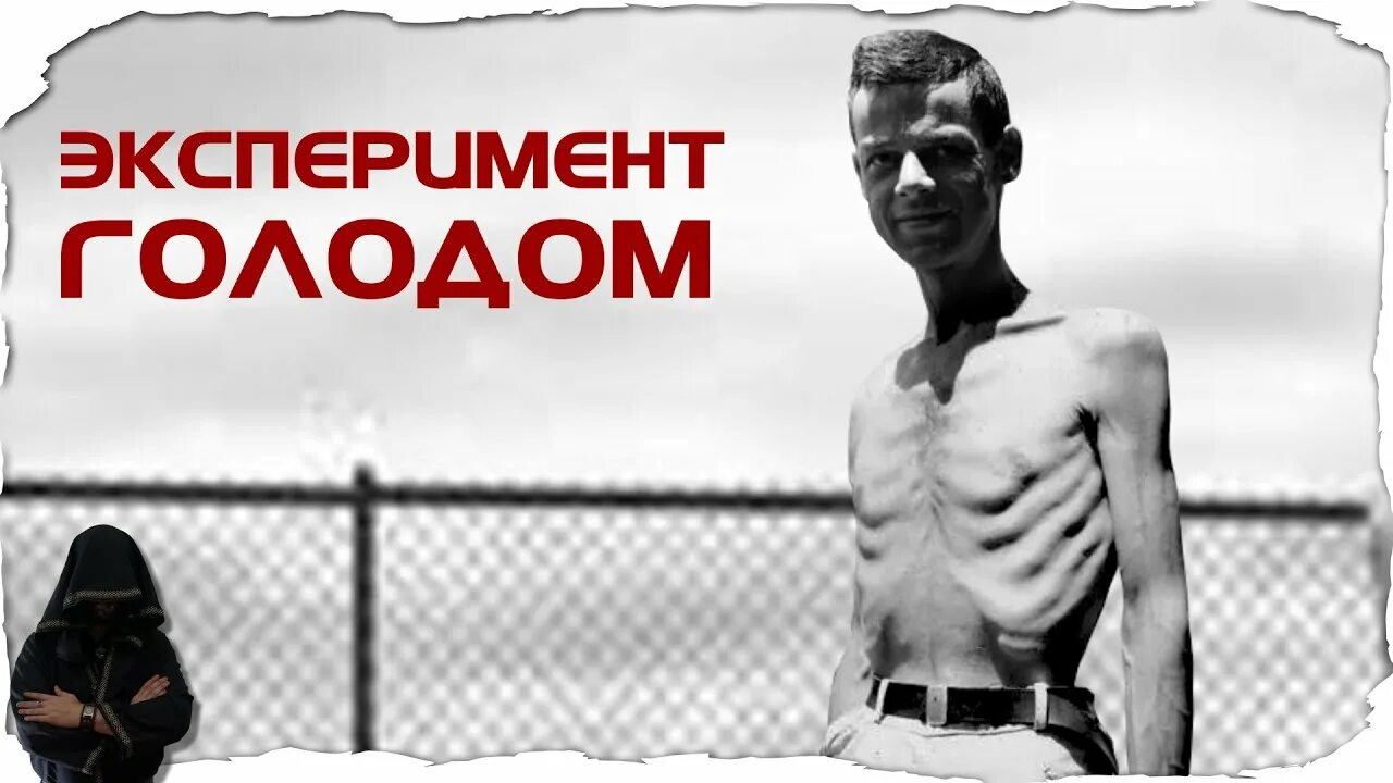 Голод будущего. Миннесотский эксперимент 1944. миннесотский голодный эксперимент. миннесотский «голодный» эксперимен.