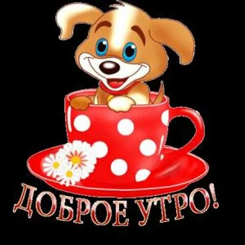 Доброе утро стикеры прикольные ватсап. Смайлики с добрым утром. стикер доброе утро. стикеры с добрым утром. стикеры с добрым утром красивые.