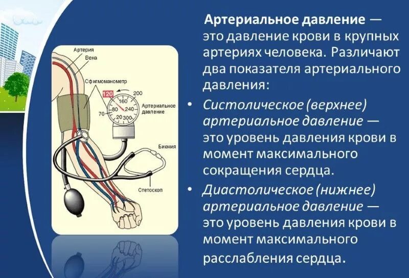 Артериальная давление что это такое. Кровяное давление. артериальное кровяное давление. arterialinoe davlenie. артериальное давление термин.
